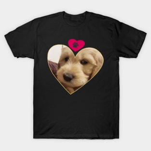 Labradoodle T-Shirt